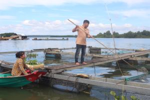 Để nguồn lợi thủy sản hồ Trị An không bị cạn kiệt