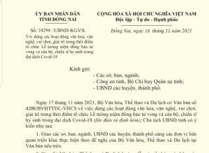 Dừng các hoạt động văn hóa, giải trí trong thời gian tổ chức Lễ tưởng niệm đồng bào tử vong vì Covid-19