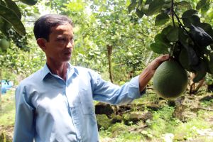 Dư nợ cho vay trong lĩnh vực nông nghiệp, nông thôn tăng hơn 16,5%