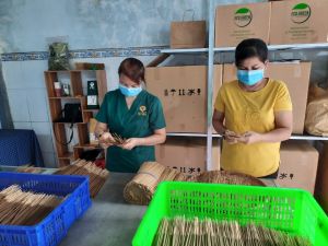 Khát vọng khởi nghiệp và phát triển quê hương