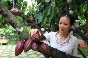 Xã vùng sâu nỗ lực về đích sớm nông thôn mới nâng cao