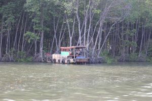 ​Chuyển đổi mục đích sử dụng đất 52 dự án