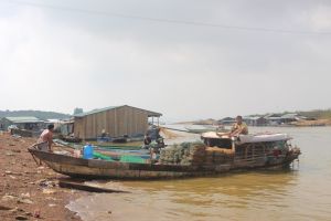 Các quy định xử lý hành vi khai thác thủy sản tận diệt