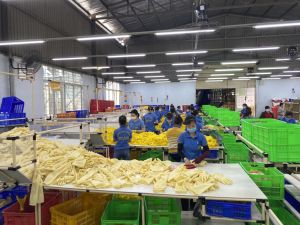 Hiểu đúng về trạng thái 'bình thường mới'