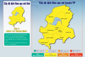 Tất cả 11/11 huyện, thành phố đều ở cấp độ 2