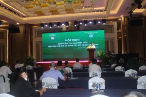 Tập huấn công tác đối ngoại nhân nhân