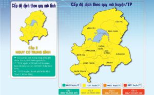 Tất cả 11/11 huyện, thành phố đều ở cấp độ 2.