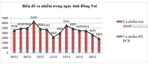 Số ca tử vong do Covid-19 vẫn ở mức cao.