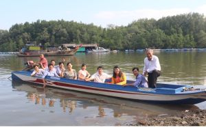 Khai thác hiệu quả tài nguyên rừng