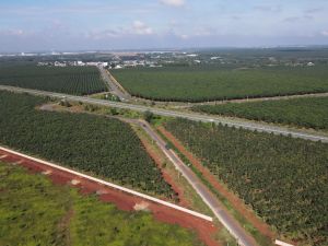 Giao thêm gần 200 ha đất dự án sân bay Long Thành cho Cảng vụ hàng không miền Nam