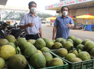 Vừa trữ hàng Tết, vừa chủ động phòng, chống dịch Covid-19