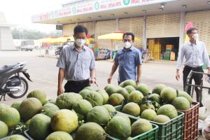 Khảo sát công tác chuẩn bị hàng Tết tại các địa phương