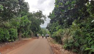 Huyện Cẩm Mỹ hình thành 4 vùng phát triển