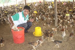 Thị trường chăn nuôi khởi sắc nhưng vẫn nhiều khó khăn