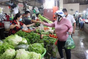 Bỏ dần túi ny-lông gây hại cho môi trường