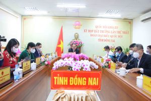Khai mạc kỳ họp bất thường lần thứ nhất, Quốc hội XV