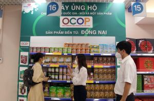 Bố trí các gian hàng Tết dành cho các sản phẩm địa phương