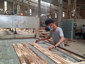 Doanh nghiệp cần quan tâm đến yếu tố “xanh” khi xuất khẩu