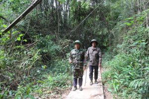 ​Người dân hưởng lợi từ môi trường rừng