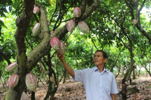 Thưởng 1 tỷ đồng/xã cho 5 xã nông thôn mới nâng cao