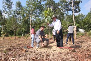 Đồng Nai trồng mới được hơn 4 ngàn ha rừng