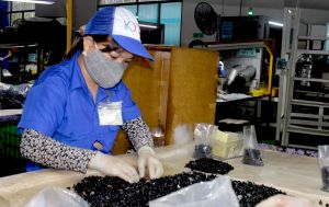 ​Chuẩn bị cho đơn hàng đầu năm