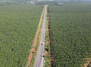 Hơn 6,2 ngàn tỷ đồng thực hiện dự án nâng cấp, mở rộng đường tỉnh 769