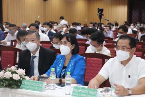 Tập đoàn Công nghiệp Cao su Việt Nam quản lý gần 402 ngàn ha cao su