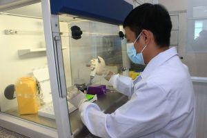 Ứng phó với biến chủng Omicron theo 4 cấp độ dịch