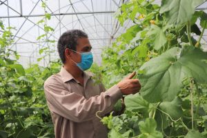 Ngành nông nghiệp của tỉnh một năm vượt khó thành công