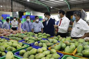​Tăng cường chế biến trái cây tươi