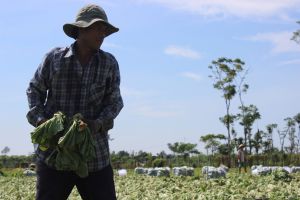 Huyện Cẩm Mỹ dành nhiều đất phát triển công nghiệp