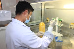 Đề xuất hỗ trợ 6 triệu đồng cho nhân viên y tế trực tiếp tham gia chống dịch
