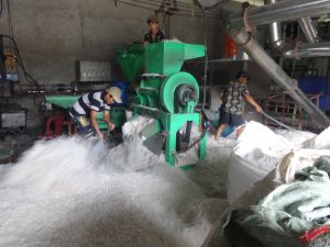 Nhập khẩu phế liệu phải ký Quỹ Bảo vệ môi trường