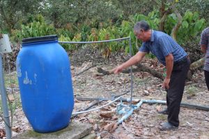 Đã có gần 57 ngàn ha lắp đặt hệ thống tưới nước tiết kiệm