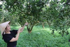 Vĩnh Cửu vượt khó trong hậu xây dựng nông thôn mới