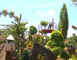 Xuân Lộc - hút khách dịp Tết Nguyên đán Nhâm Dần