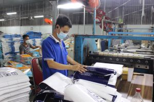 Doanh nghiệp vừa phục hồi, vừa ngóng hỗ trợ