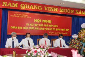 Góp phần nâng cao hiệu quả hoạt động của cơ quan dân cử