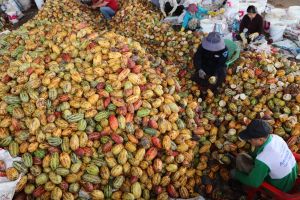 Những xã vùng sâu đón mùa xuân mới