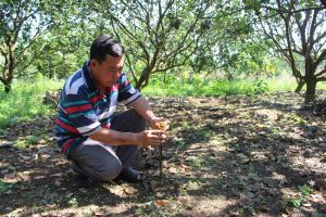 Nhân rộng mô hình tưới nước tiết kiệm