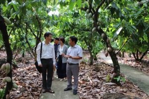 Nông nghiệp tuần hoàn: Biến rác thành vàng