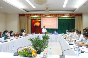 Các tổ đại biểu HĐND tỉnh quan tâm hơn nữa hoạt động giám sát