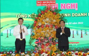 Cao su Đồng Nai đặt mục tiêu 1.918 tỷ đồng doanh thu