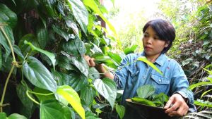 Khởi nghiệp với xà bông handmade