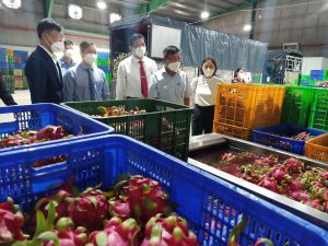 Doanh nghiệp chế biến trái cây xuất khẩu