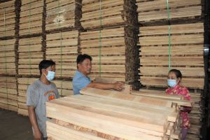 Tạo việc làm cho người Chơro