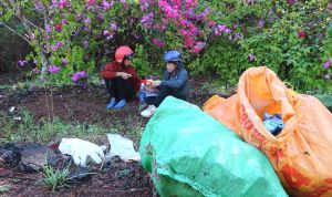 Hình ảnh đẹp về hai phụ nữ nhặt rác ở tuyến đường hoa Chiến khu D