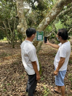 Xây dựng nông thôn mới kiểu mẫu giai đoạn 2021-2025