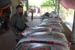 Giá thức ăn chăn nuôi tiếp tục leo thang